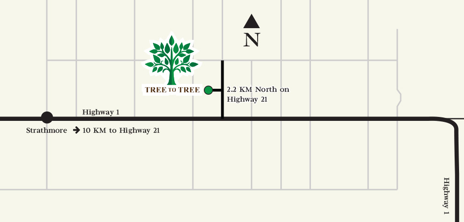 tree-to-tree-new-location-2017